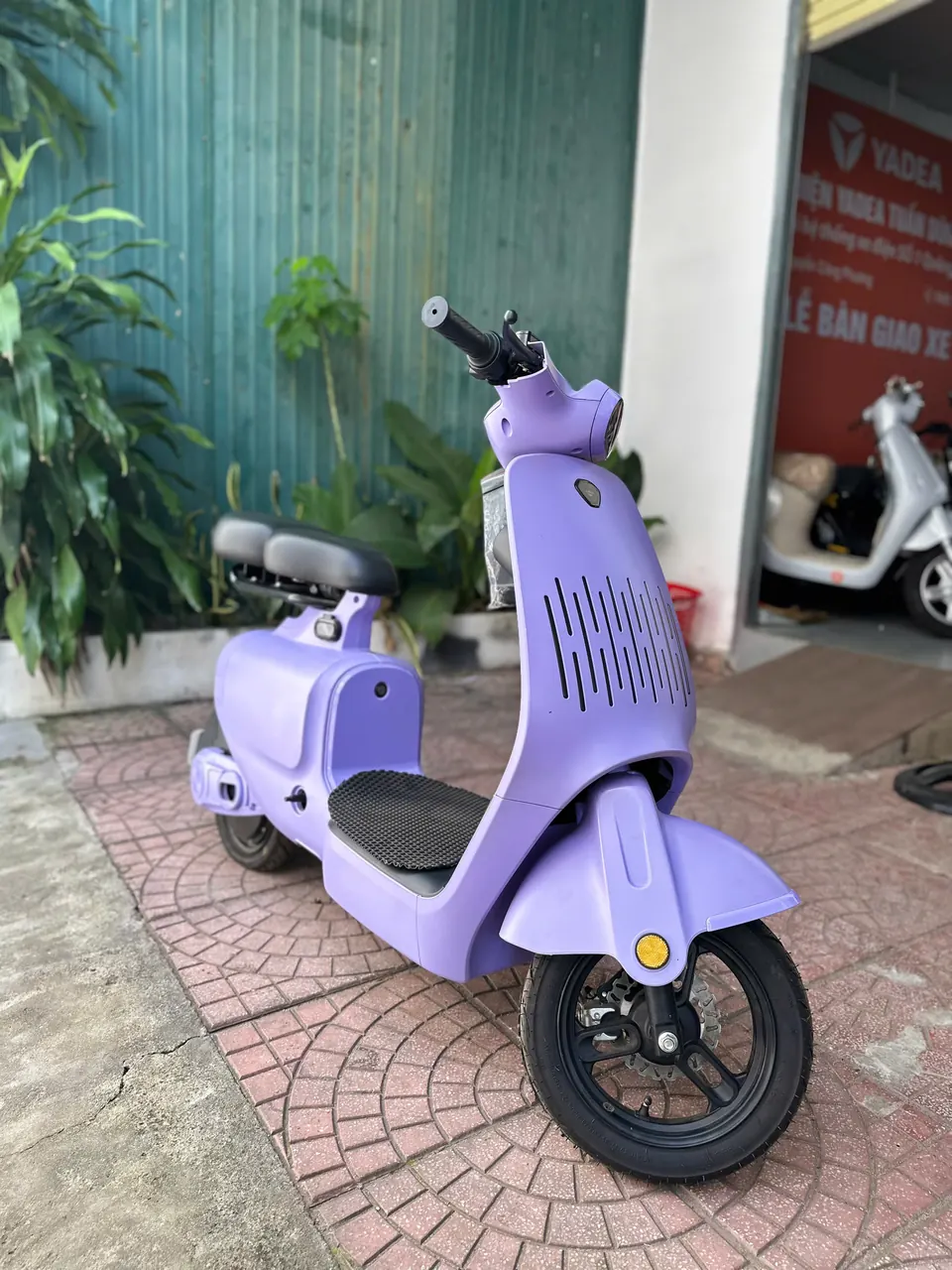 Xe điện V1 – Tím
