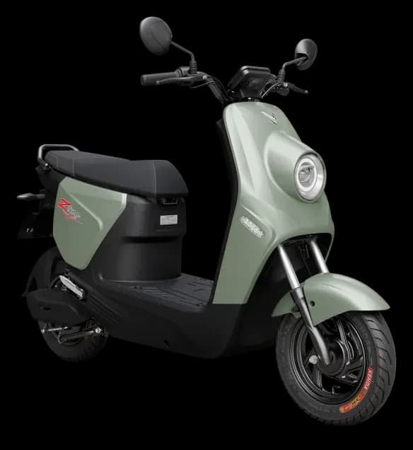 VinFast ZGoo – ảnh 1